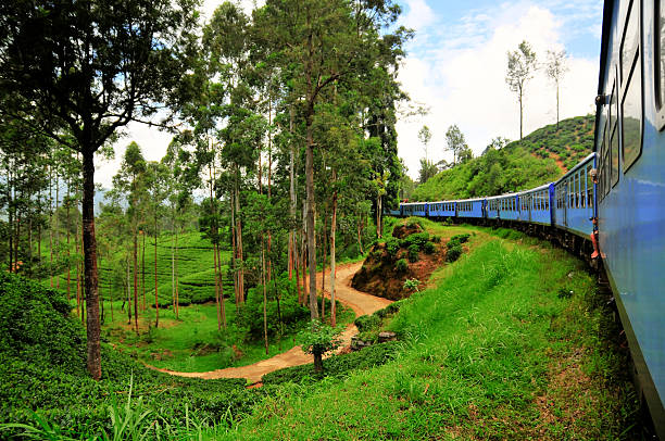Maldives & Sri Lanka Group Tour (Including Nuwara Eliya Tour) - 06 Night 07 Days